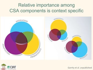 Linking experiences between LAM, Africa, & Asia