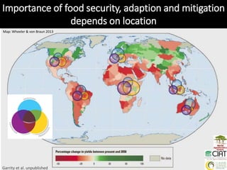 Linking experiences between LAM, Africa, & Asia