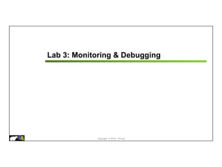 Copyright © 2018 – P4.org
Lab 3: Monitoring & Debugging
 