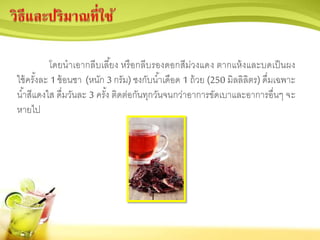 โดยนาเอากลีบเลี้ยง หรือกลีบรองดอกสีม่วงแดง ตากแห้งและบดเป็นผง
ใช้ครั้งละ 1 ช้อนชา (หนัก 3 กรัม) ชงกับน้าเดือด 1 ถ้วย (250 มิลลิลิตร) ดื่มเฉพาะ
น้าสีแดงใส ดื่มวันละ 3 ครั้ง ติดต่อกันทุกวันจนกว่าอาการขัดเบาและอาการอื่นๆ จะ
หายไป
 