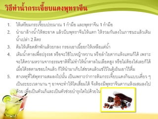 1. ให้เตรียมกระเจี๊ยบประมาณ 1 กามือ และพุทราจีน 1 กามือ
2. นามาล้างน้าให้สะอาด แล้วบีบพุทราจีนให้แตก ให้รวมกันลงในภาชนะแล้วเติม
น้าเปล่า 2 ลิตร
3. ต้มให้เดือดสักพักแล้วยกลง กรองเอาเนื้ออกให้เหลือแต่น้า
4. เติมน้าตาลเพื่อปรุงรส หรือจะใช้ใบหญ้าหวาน หรือลาไยตากแห้งแทนก็ได้ เพราะ
จะได้ความหวานจากธรรมชาติที่ไม่ทาให้น้าตาลในเลือดสูง หรือไม่ต้องใส่เลยก็ได้
เมื่อได้รสตามชอบใจแล้ว ก็ให้นามาเก็บใส่ขวดแล้วแช่ไว้ในตู้เย็นเอาไว้ดื่ม
5. สาเหตุที่ใส่พุทราผสมลงไปนั้น เป็นเพราะว่าการต้มกระเจี๊ยบแดงกินแบบเดี่ยว ๆ
เป็นระยะเวลานาน ๆ อาจจะทาให้ไตเสื่อมได้ จึงต้องมีพุทราจีนตากแห้งผสมลงไป
ด้วย เพื่อเป็นตัวแก้และเป็นตัวช่วยบารุงไตไปด้วยในตัว
 