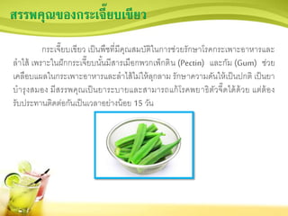สรรพคุณของกระเจี๊ยบเขียว
กระเจี๊ยบเขียว เป็นพืชที่มีคุณสมบัติในการช่วยรักษาโรคกระเพาะอาหารและ
ลาไส้ เพราะในฝักกระเจี๊ยบนั้นมีสารเมือกพวกเพ็กติน (Pectin) และกัม (Gum) ช่วย
เคลือบแผลในกระเพาะอาหารและลาไส้ไม่ให้ลุกลาม รักษาความดันให้เป็นปกติ เป็นยา
บารุงสมอง มีสรรพคุณเป็นยาระบายและสามารถแก้โรคพยาธิตัวจี๊ดได้ด้วย แต่ต้อง
รับประทานติดต่อกันเป็นเวลาอย่างน้อย 15 วัน
 