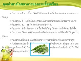 คุณค่าทางโภชนาการของกระเจี๊ยบเขียว
+ รับประทานฝักกระเจี๊ยบ 10 -15 ฝัก ตอนเย็นหรือก่อนนอนสามารถลดอาการ
ท้องผูก
+ รับประทาน 3 – 5 ฝัก ก่อนอาหารทุกวันสามารถรักษาแผลในกระเพาะอาหาร
+ รับประทาน 10 – 15 ฝัก ทุกวันสามารถบารุงตับ
+ รับประทาน 5 ฝัก ก่อนอาหาร 3 มื้อ ติดต่อกันทุกวันสามารถกาจัดพยาธิตัวจี๊ด
+ รับประทาน 30 – 40 ฝัก ตอนเย็นหรือก่อนนอนสามารถดีท็อกซ์ลาไส้อุจจาระ
ตกค้าง
+ รับประทานสม่าเสมอ เป็นเส้นใยอาหารธรรมชาติมีแคลเซียมและวิตามินสูง
+ รับประทานประจา มีโฟเลตสูงช่วยสร้างเม็ดเลือดแดง บารุงสมอง และ
พัฒนาการทารก ในครรภ์ 40 ฝักแห้ง มีโฟเลต เทียบเท่าที่คนต้องการในหนึ่งวัน 10 ฝัก มีโฟ
เลตเท่ากับ 25% ของความต้องการในหนึ่งวัน
 