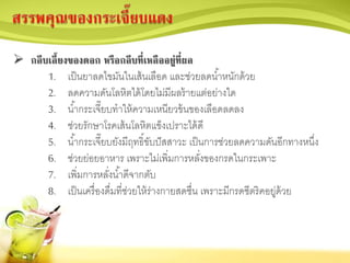  กลีบเลี้ยงของดอก หรือกลีบที่เหลืออยู่ที่ผล
1. เป็นยาลดไขมันในเส้นเลือด และช่วยลดน้าหนักด้วย
2. ลดความดันโลหิตได้โดยไม่มีผลร้ายแต่อย่างใด
3. น้ากระเจี๊ยบทาให้ความเหนียวข้นของเลือดลดลง
4. ช่วยรักษาโรคเส้นโลหิตแข็งเปราะได้ดี
5. น้ากระเจี๊ยบยังมีฤทธิ์ขับปัสสาวะ เป็นการช่วยลดความดันอีกทางหนึ่ง
6. ช่วยย่อยอาหาร เพราะไม่เพิ่มการหลั่งของกรดในกระเพาะ
7. เพิ่มการหลั่งน้าดีจากตับ
8. เป็นเครื่องดื่มที่ช่วยให้ร่างกายสดชื่น เพราะมีกรดซีตริคอยู่ด้วย
 