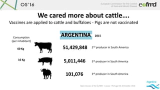 Open Session of the EuFMD - Cascais –Portugal 26-28 October 2016
We cared more about cattle….
Vaccines are applied to catt...
