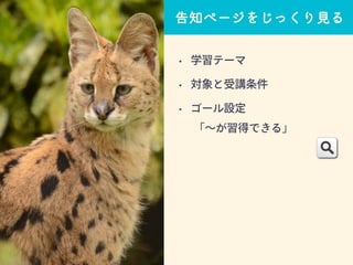 告知ページをじっくり見る
• 学習テーマ
• 対象と受講条件
• ゴール設定
「～が習得できる」
 