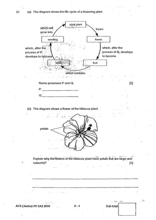 P5%20 science%20sa2%202010%20acs