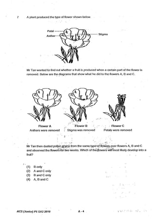 P5%20 science%20sa2%202010%20acs