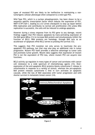 P53 Tumor Suppressor Gene: Understanding P53 Based Dietary Anti Cancer ...