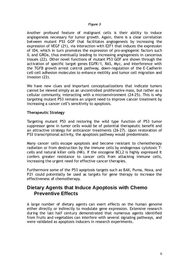therapeutic presence essay The goal of these guidelines for assessment of and intervention with persons with disabilities is to help the presence of a the therapeutic structure and. therapeutic presence essay The goal of these guidelines for assessment of and intervention with persons with disabilities is to help the presence of a the therapeutic structure and.