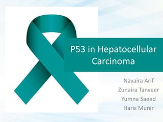 Navaira Arif
Zunaira Tanveer
Yumna Saeed
Haris Munir
P53 in Hepatocellular
Carcinoma
 