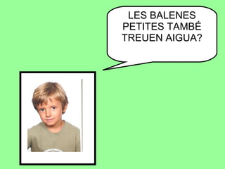 LES BALENES PETITES TAMBÉ TREUEN AIGUA? 