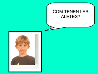 COM TENEN LES ALETES? 