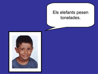 Els elefants pesen tonelades. 