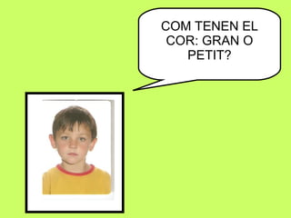 COM TENEN EL COR: GRAN O PETIT? 