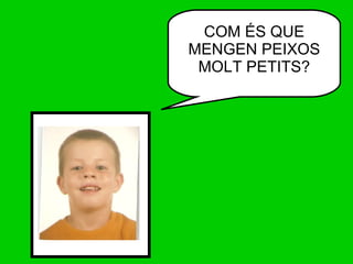 COM ÉS QUE MENGEN PEIXOS MOLT PETITS? 