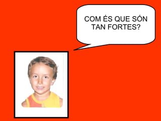 COM ÉS QUE SÓN TAN FORTES? 