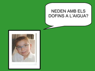 NEDEN AMB ELS DOFINS A L’AIGUA? 