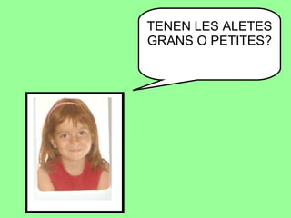 TENEN LES ALETES GRANS O PETITES? 