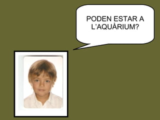 PODEN ESTAR A L’AQUÀRIUM? 