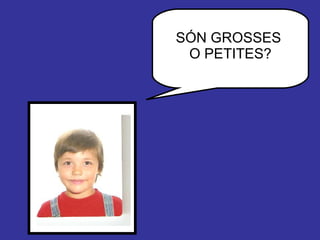 SÓN GROSSES  O PETITES? 