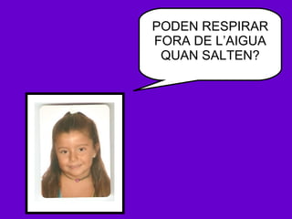 PODEN RESPIRAR FORA DE L’AIGUA QUAN SALTEN? 