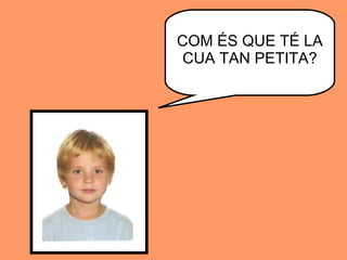 COM ÉS QUE TÉ LA CUA TAN PETITA? 