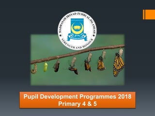 Pupil Development Programmes 2018
Primary 4 & 5
 