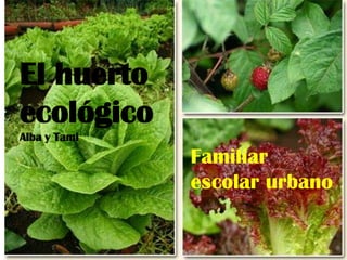 El huerto
ecológico
Alba y Tami

Familiar
escolar urbano

 