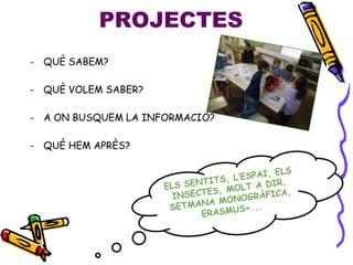 - QUÈ SABEM?
- QUÈ VOLEM SABER?
- A ON BUSQUEM LA INFORMACIÓ?
- QUÈ HEM APRÈS?
PROJECTES
 