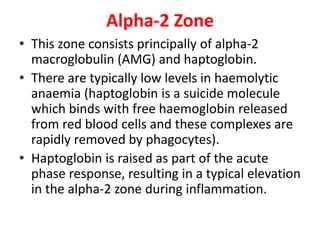 3.2.2 Electrophoresis Notes | PPT