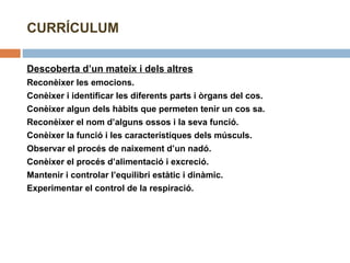 CURRÍCULUM Descoberta d’un mateix i dels altres Reconèixer les emocions. Conèixer i identificar les diferents parts i òrgans del cos. Conèixer algun dels hàbits que permeten tenir un cos sa. Reconèixer el nom d’alguns ossos i la seva funció. Conèixer la funció i les característiques dels músculs. Observar el procés de naixement d’un nadó. Conèixer el procés d’alimentació i excreció. Mantenir i controlar l’equilibri estàtic i dinàmic. Experimentar el control de la respiració. 