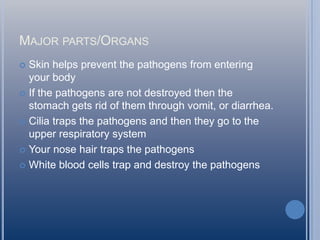 MAJOR PARTS/ORGANS
Skin helps prevent the pathogens from entering
your body
 If the pathogens are not destroyed then the
stomach gets rid of them through vomit, or diarrhea.
 Cilia traps the pathogens and then they go to the
upper respiratory system
 Your nose hair traps the pathogens
 White blood cells trap and destroy the pathogens


 
