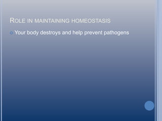 ROLE IN MAINTAINING HOMEOSTASIS


Your body destroys and help prevent pathogens

 