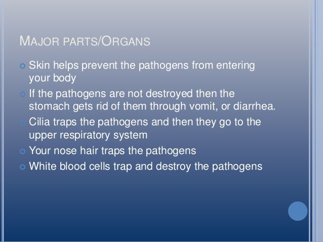 P5 Immune System Guntz