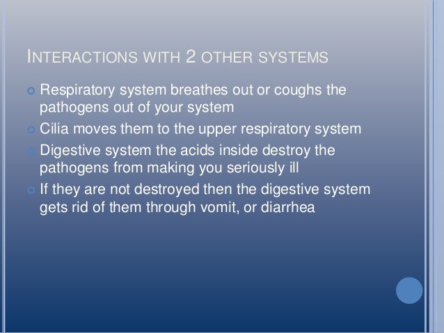 parts system of immune guntz immune system P5