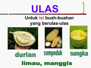 ULAS Untuk  isi  buah-buahan yang berulas-ulas limau, manggis cempedak nangka durian 