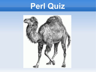 Perl Quiz
 