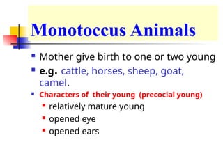 Monotoccus Animals
 Mother give birth to one or two young
 e.g. cattle, horses, sheep, goat,
camel.
 Characters of their young (precocial young)
 relatively mature young
 opened eye
 opened ears
 