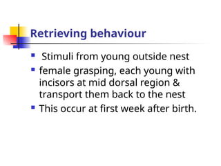 Retrieving behaviour
 Stimuli from young outside nest
 female grasping, each young with
incisors at mid dorsal region &
transport them back to the nest
 This occur at first week after birth.
 