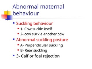 Abnormal maternal
behaviour
 Suckling behaviour
 1- Cow suckle itself
 2- cow suckle another cow
 Abnormal suckling posture
 A- Perpendicular suckling
 B- Rear suckling
 3- Calf or foal rejection
 