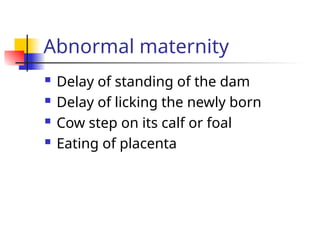 Abnormal maternity
 Delay of standing of the dam
 Delay of licking the newly born
 Cow step on its calf or foal
 Eating of placenta
 