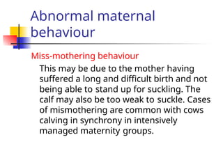 Abnormal maternal
behaviour
Miss-mothering behaviour
This may be due to the mother having
suffered a long and difficult birth and not
being able to stand up for suckling. The
calf may also be too weak to suckle. Cases
of mismothering are common with cows
calving in synchrony in intensively
managed maternity groups.
 