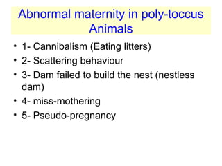 Abnormal maternity in poly-toccus
Animals
• 1- Cannibalism (Eating litters)
• 2- Scattering behaviour
• 3- Dam failed to build the nest (nestless
dam)
• 4- miss-mothering
• 5- Pseudo-pregnancy
 