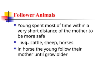 Follower Animals
 Young spent most of time within a
very short distance of the mother to
be more safe
 e.g. cattle, sheep, horses
 in horse the young follow their
mother until grow older
 