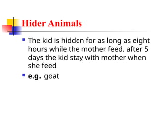 Hider Animals
 The kid is hidden for as long as eight
hours while the mother feed. after 5
days the kid stay with mother when
she feed
 e.g. goat
 