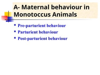 A- Maternal behaviour in
Monotoccus Animals
 Pre-parturient behaviour
 Parturient behaviour
 Post-parturient behaviour
 