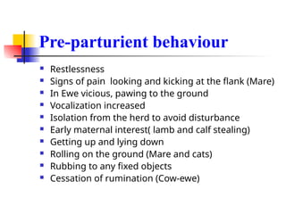 Pre-parturient behaviour
 Restlessness
 Signs of pain looking and kicking at the flank (Mare)
 In Ewe vicious, pawing to the ground
 Vocalization increased
 Isolation from the herd to avoid disturbance
 Early maternal interest( lamb and calf stealing)
 Getting up and lying down
 Rolling on the ground (Mare and cats)
 Rubbing to any fixed objects
 Cessation of rumination (Cow-ewe)
 