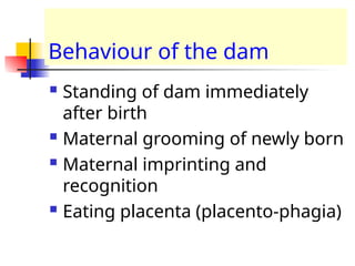 Behaviour of the dam
 Standing of dam immediately
after birth
 Maternal grooming of newly born
 Maternal imprinting and
recognition
 Eating placenta (placento-phagia)
 