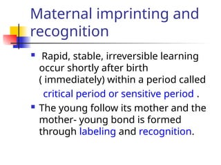 Maternal imprinting and
recognition
 Rapid, stable, irreversible learning
occur shortly after birth
( immediately) within a period called
critical period or sensitive period .
 The young follow its mother and the
mother- young bond is formed
through labeling and recognition.
 
